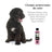 Petuxe Colour Boosting Shampoo (Black & Dark Hair) 500 Ml