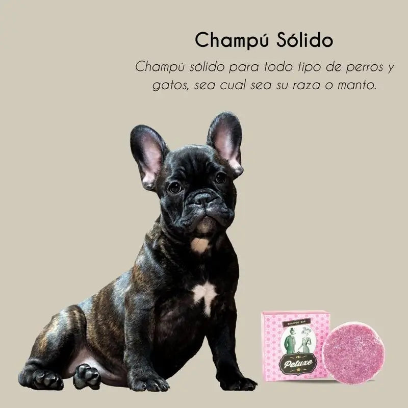 Petuxe All Breeds Solid Shampoo 50 Grams