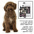 Petuxe Special Water Dog Texturising Shampoo 200 Ml