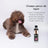 Petuxe Special Water Dog Texturising Shampoo 500 Ml