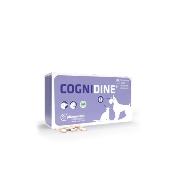 Cognidine, 60 Tablets