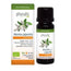 Physalis Peppermint Essence 10Ml. Bio
