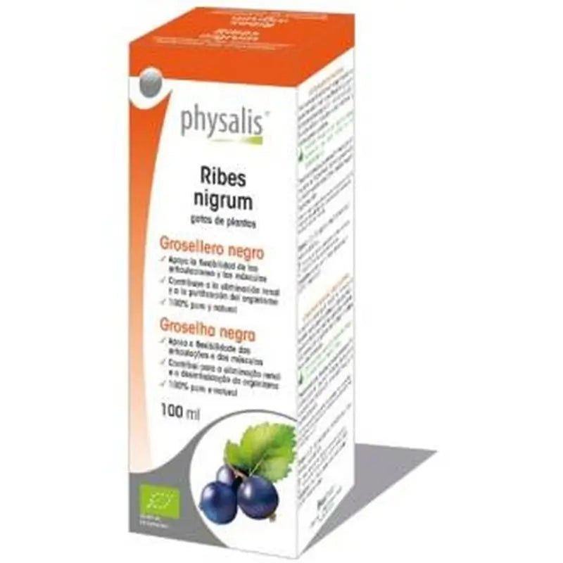 Physalis Black Currant Extract Ribes N. 100Ml. Bio