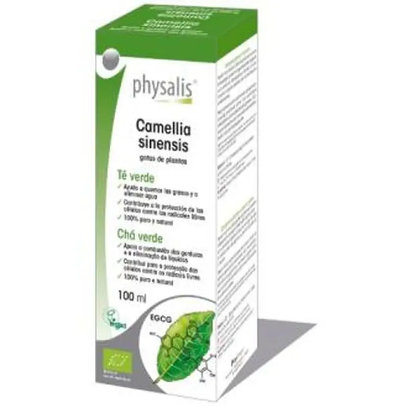 Physalis Green Tea Extract Camellia Sinensis 100Ml. Bio