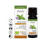 Physalis Spearmint Essential Oil 10Ml. Bio