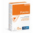 Pileje Forzinc 60 Tablets