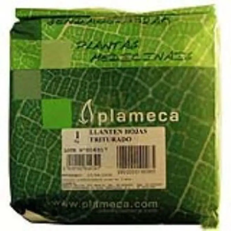 Plameca Herb Llanten Leaf Crushed 1Kg