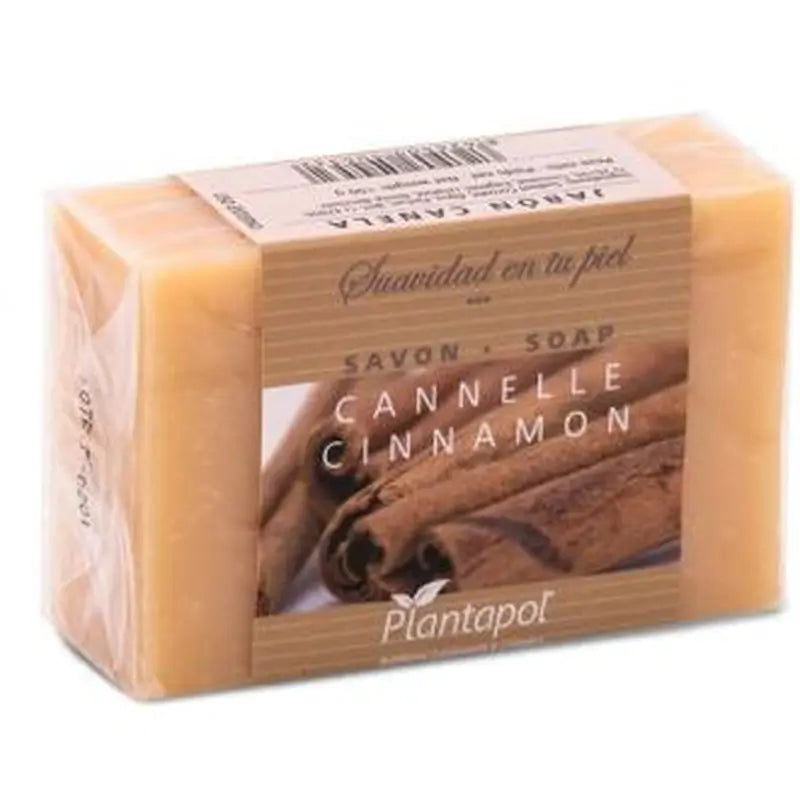Plantapol Natural Cinnamon Soap 100Gr.