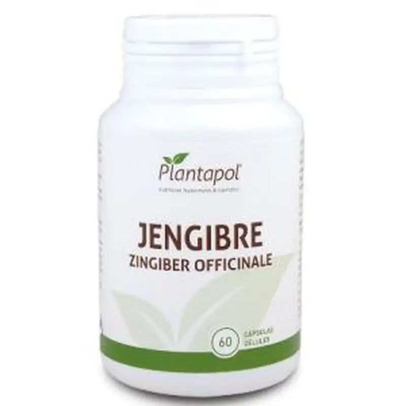 Plantapol Ginger 600Mg. 60 Capsules