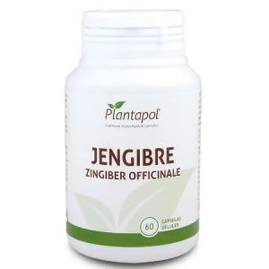 Plantapol Ginger 600Mg. 60 Capsules