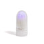 Platanomelon Lumbra Masturbator For Penis
