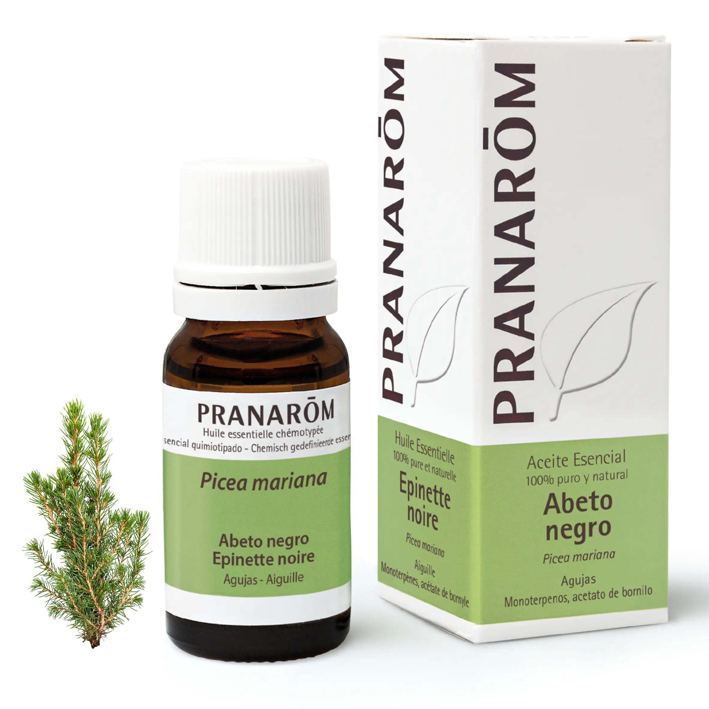 Pranarôm Black Spruce 10 ml