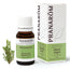 Pranarôm Black Spruce 10 ml