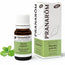 Pranarom Essential Oil Peppermint Bio, 30ml