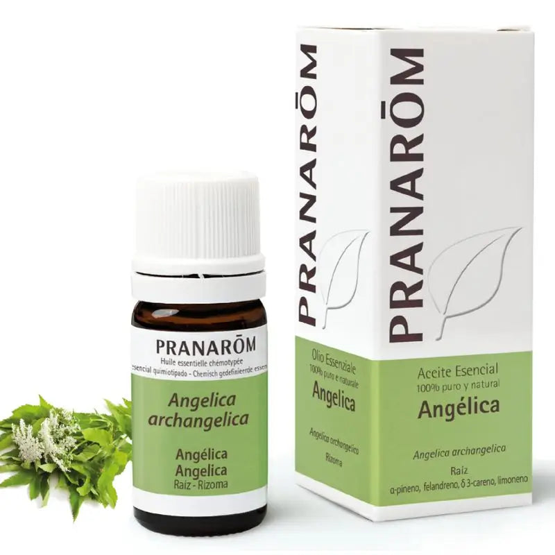 Pranarom Essential Oil Angelica, 5ml