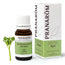 Pranarôm Celery 10 ml