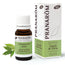 Pranarôm Organic Chinese Cinnamon, 10 ml