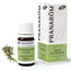 Pranarom Cypress of Provence Essential Oil Bio, 5ml