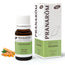 Pranarom Turmeric Essential Oil Bio, 10ml