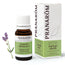 Pranarom Essential Oil Chemotyped Lavender Aspic Mosquito and Insect Bites 100% Pure & Natural , 10 ml