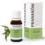 Pranarôm Eucalyptus 10 ml