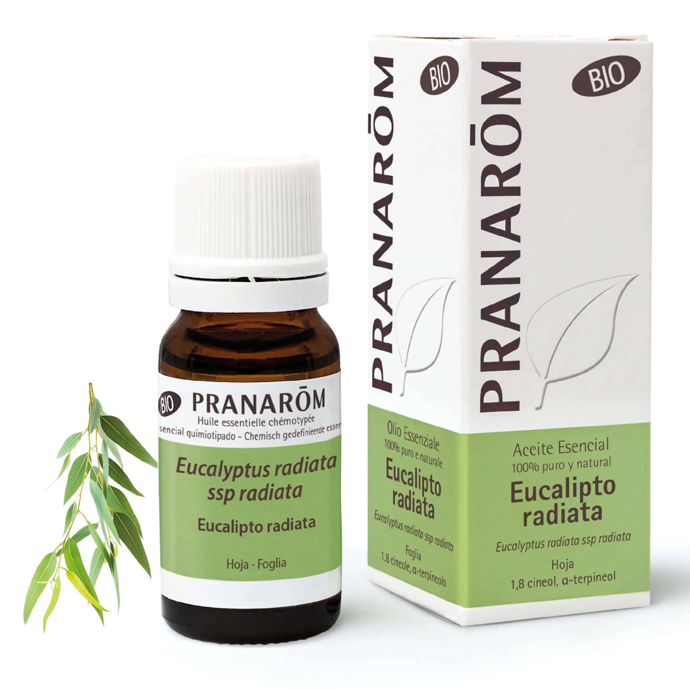 Pranarom Essential Oil Chemotyped Organic Eucalyptus Radiata Respiratory Tract 100% Pure and Natural , 10 ml