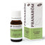 Pranarom Essential Oil Eucalyptus Smithii Bio, 10ml