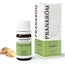 Pranarom Essential Oil Chemotyped Ginger Digestive Tonic 100% Pure & Natural , 5 ml