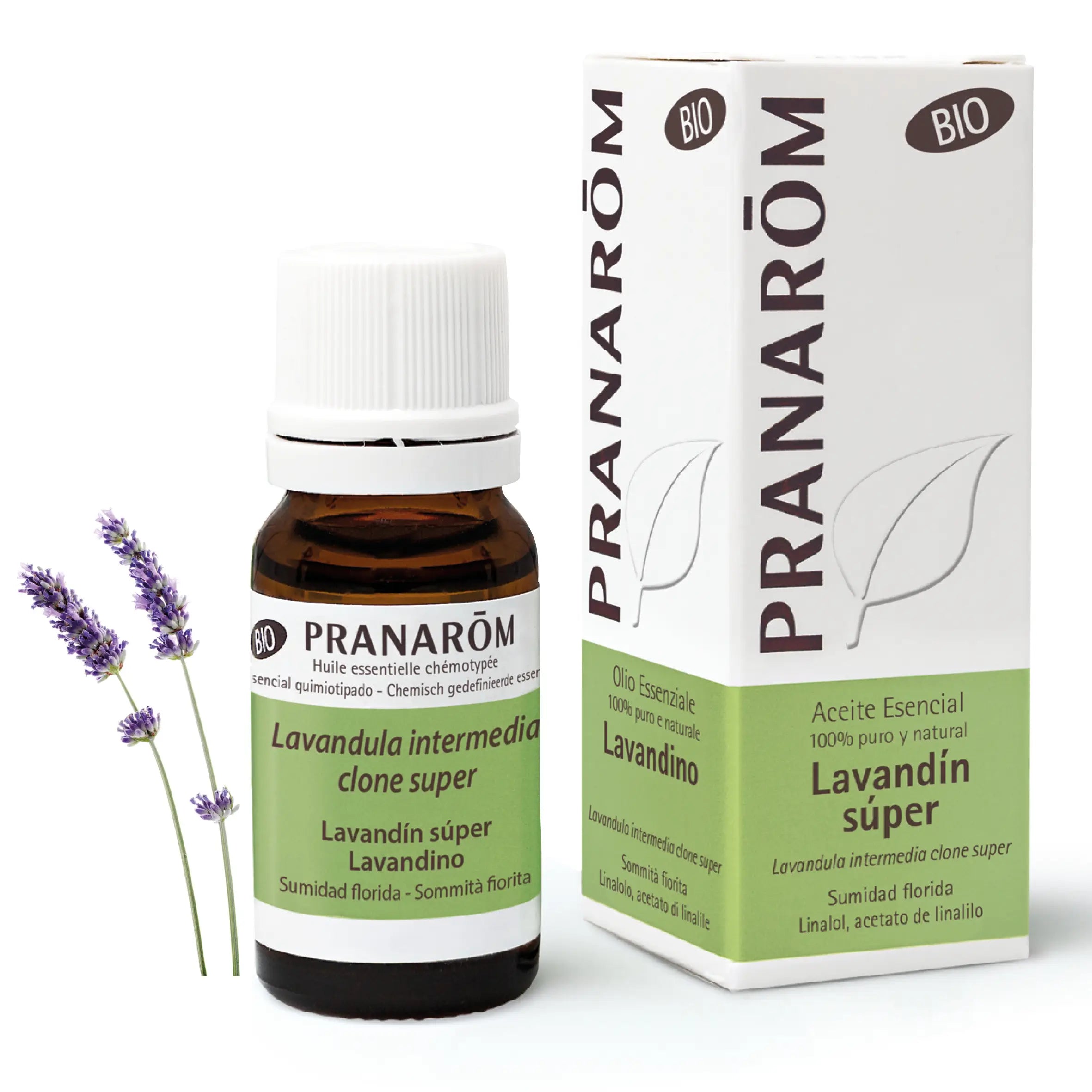 Pranarôm Lavandin Super 10 ml