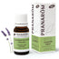 Pranarôm Lavandin Super 10 ml