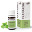 Pranarôm Organic Peppermint, 5 ml