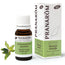 Pranarôm Organic Bitter Orange 10 ml