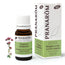 Pranarôm Oregano Organic Compact Inflorescences, 10 ml
