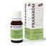 Pranarom Essential Oil Ho Ho Wood Bio, 10ml