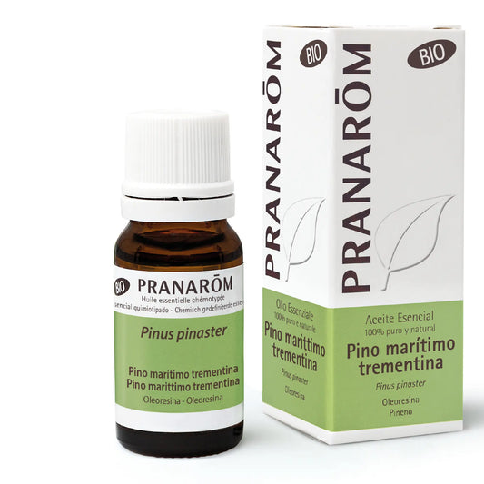 Pranarôm Organic Maritime Pine (Turpentine), 10 ml