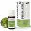 Pranarôm Sandalwood Yellow Organic, 5 ml
