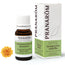 Pranarom Immortelle Yellow Essential Oil, 10ml