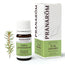 Pranarom Labrador Tea Essential Oil, 5ml