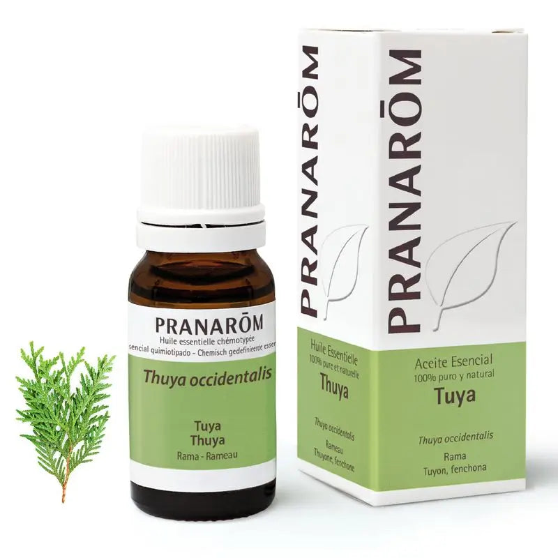 Pranarom Essential Oil Tuya, 10ml