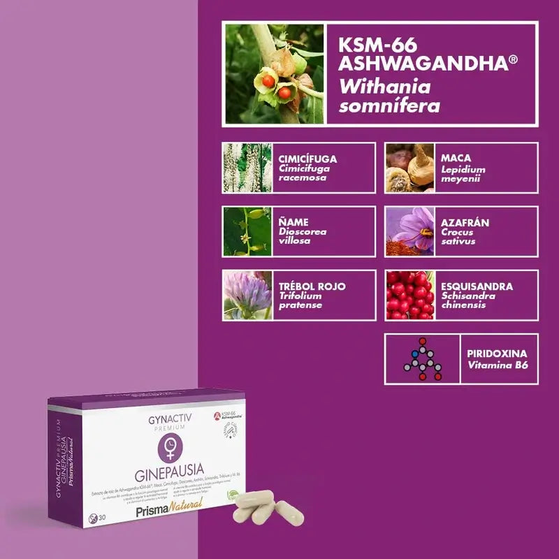 Prisma Premium Gynactiv Ginepause, 30 Capsules
