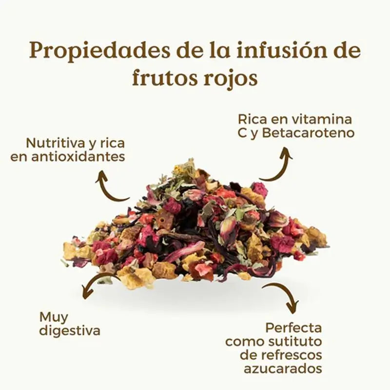 Replantea Organic Red Fruit Infusion, 100 g