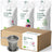 Replantea Detox Tea Pack With Filter, 3 units