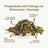 Replantea Blue Oolong Tea With Orange And Peach, 100 g