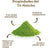 Replantea Organic Matcha Ceremonial Japanese Tea, 50 g