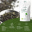 Replantea Green Tea Jasmine Organic, 100 g