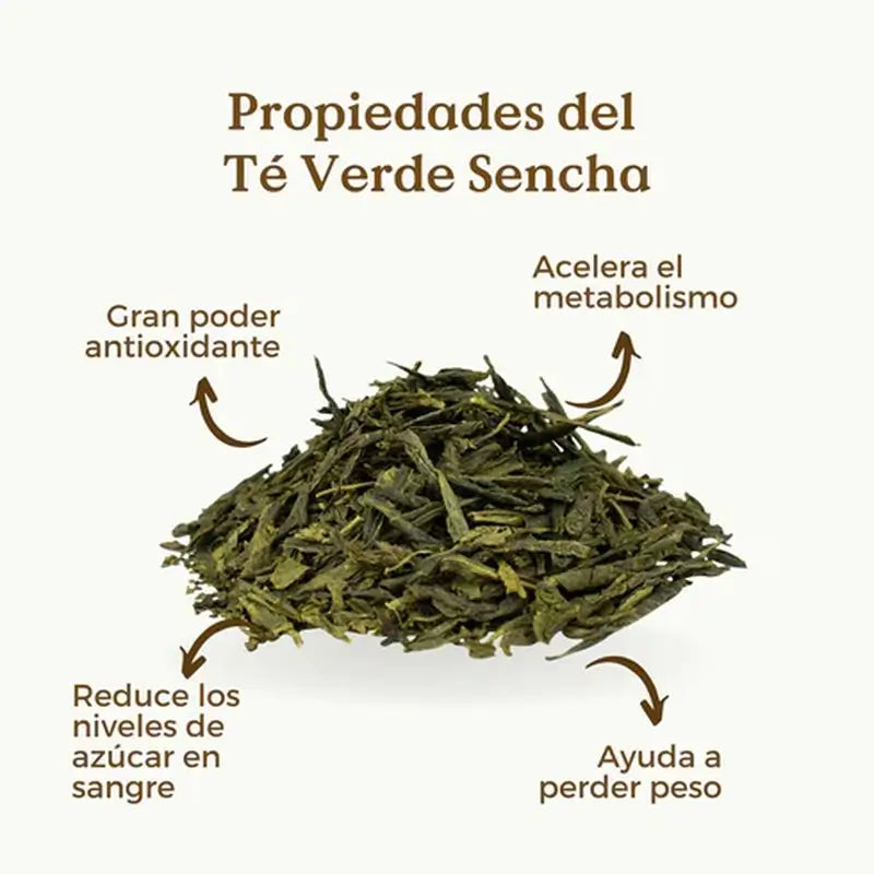 Replantea Organic Sencha Green Tea, 100g