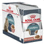 Royal Canin Adult Hairball Care Pouch Box 12X85Gr, wet cat food