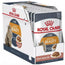 Royal Canin Adult Intense Beauty Pouch Gelatine Box 12X85G, wet cat food