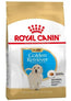 Royal Canin Junior Golden Retriever 12Kg, dog food for dogs