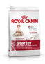 Royal Canin Starter Medium 4Kg, dog food for dogs